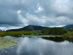 -腾冲北海湿地
