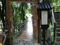-天门沟九州驿站树上汤泉