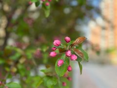 -东北大学(南湖校区)