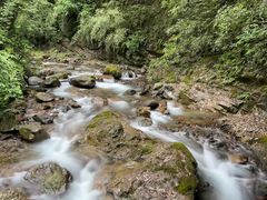 -西岭雪山大飞水景区