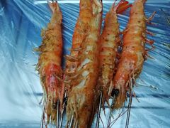 -老三烧烤(二环西路店)