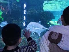 -沙沙哗啦海洋馆(华宇百花谷店)