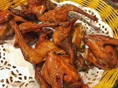 -百利鸽王(紫薇路店)