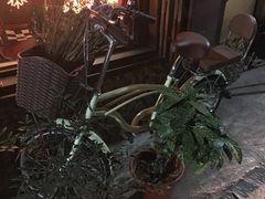 -不舍昼夜咖啡馆
