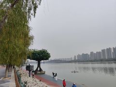 -渭滨公园