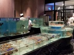大堂-许家菜.艺创菜(仁和新城店)