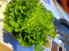 -杨记齐齐哈尔烤肉(总店)