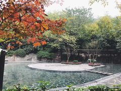 -融汇温泉