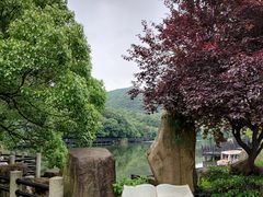 -白马涧龙池景区