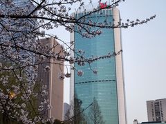 -西北湖绿化广场