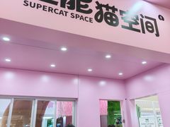-PO PARK东方宝泰