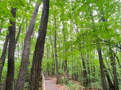 -五女峰国家森林公园