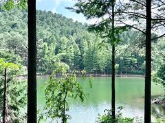 -四明山国家森林公园