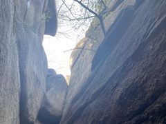 -鲁山国家森林公园