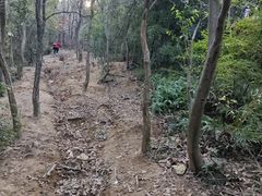 -南北湖风景区