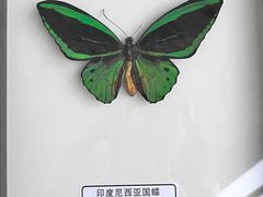 -上海长江河口科技馆
