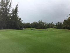 -塞尔夫岛