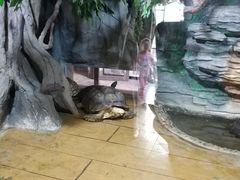 -石家庄市动物园