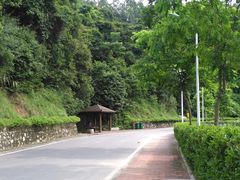 -火炉山森林公园