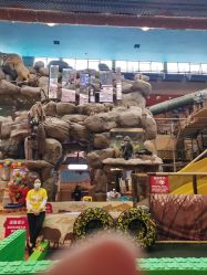 -卡通尼·Safari非洲探索乐园·生日会(金桥国际商业广场店)