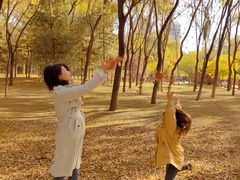 -森林公园(尖草坪区)