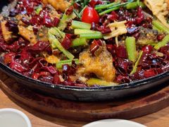 -老板恋上鱼(恒隆广场店)