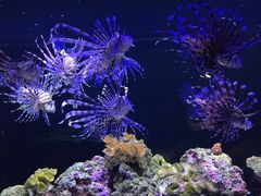 -石家庄极地海洋世界