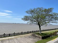 -观潮胜地公园