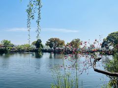 -无锡蠡湖国家湿地公园-蠡园