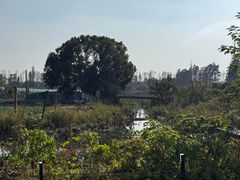 -阳澄湖半岛旅游度假区