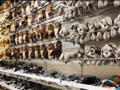 -宜家家居(哈尔滨商场店)