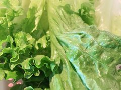 -新石器烤肉(周浦万达店)