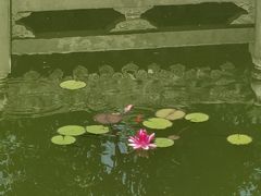 -青龙山生态文化旅游区(慈云寺)