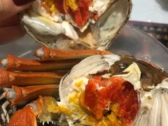 -黄记大闸蟹专卖店·活蟹·醉蟹