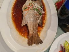 -眉州东坡(团结湖店)