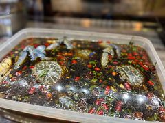 -合记汕头牛肉店(嘉禾路店)