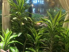 -太守宴·蘭院(天塔店)