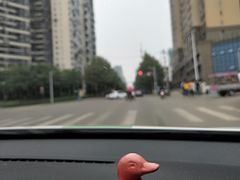 -三圣花乡旅游区