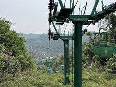 -野象谷景区