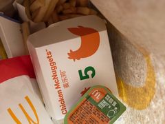 -麦当劳(红旗路店)