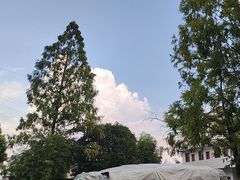 -石台牯牛降景区