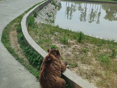 -上海野生动物园