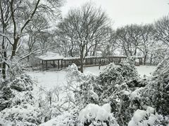 -紫金山山顶公园