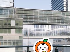 -野人牧坊Gelato(苏州中心店)