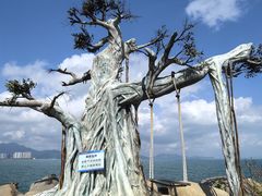 -海南分界洲岛旅游区