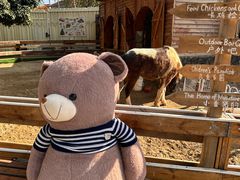 -HERRE·FARM 赫尔露营农场·团建聚会包场