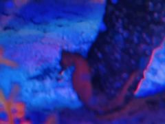 -沈阳海洋探索中心