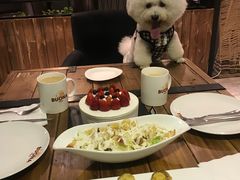 -百好乐宠物友好餐厅(朝外大街店)