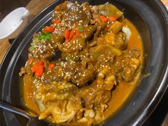 甲鱼牛蛙锅-洪湘记川湘·甲鱼馆(四海凯悦美食广场店)