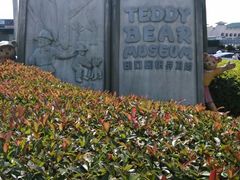 android_upload_pic-济州岛泰迪熊博物馆